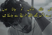 Attitude Poetry In Urdu