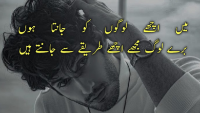 Attitude Poetry In Urdu