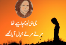 john elia poetry in urdu 2 lines text