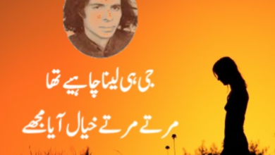 john elia poetry in urdu 2 lines text