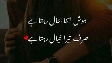 poetry in urdu 2 lines romantic