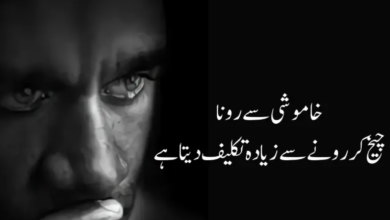 Sad Poetry In Urdu