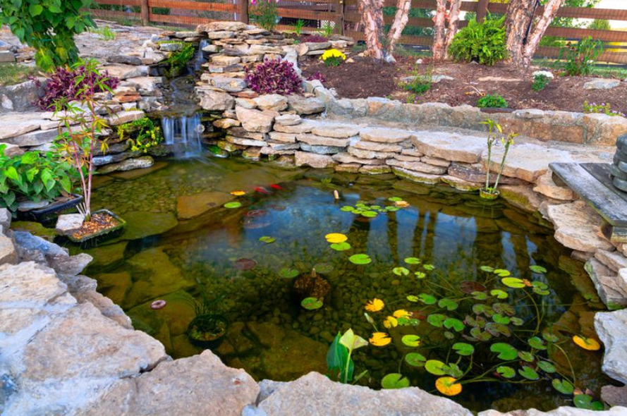 How to Get Cleaner Pond Water for 1000-Gallon Gardens – Step-by-Step