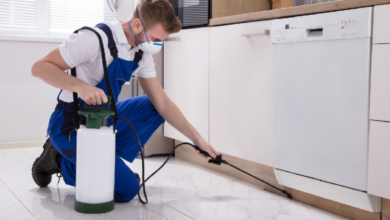 Why Dallas Residents Are Switching to Recurring House Cleaning and Pest Control Services