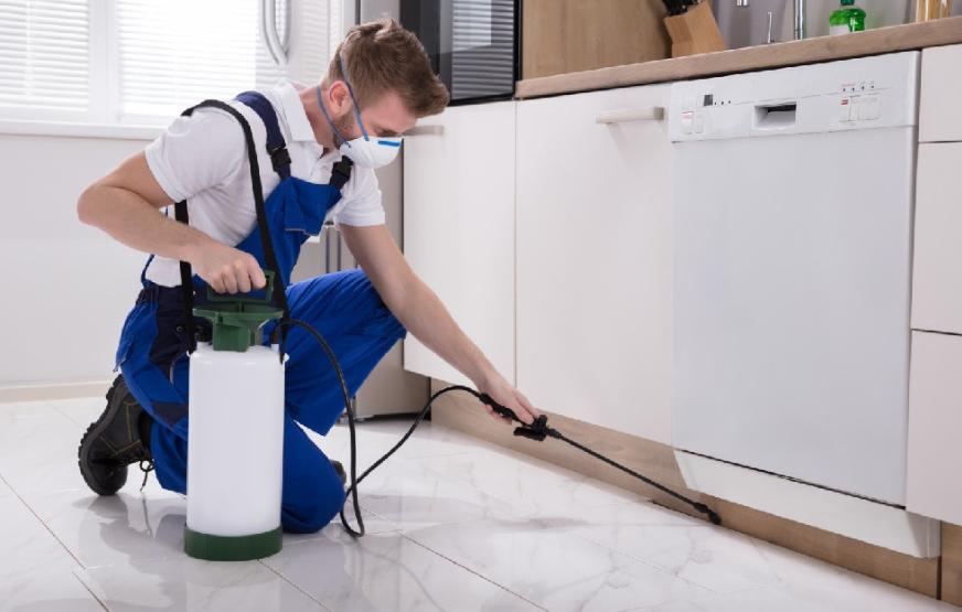 Why Dallas Residents Are Switching to Recurring House Cleaning and Pest Control Services