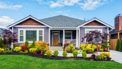 Expert Wollongong Landscaping: Designing Functional and Beautiful Outdoor Spaces 